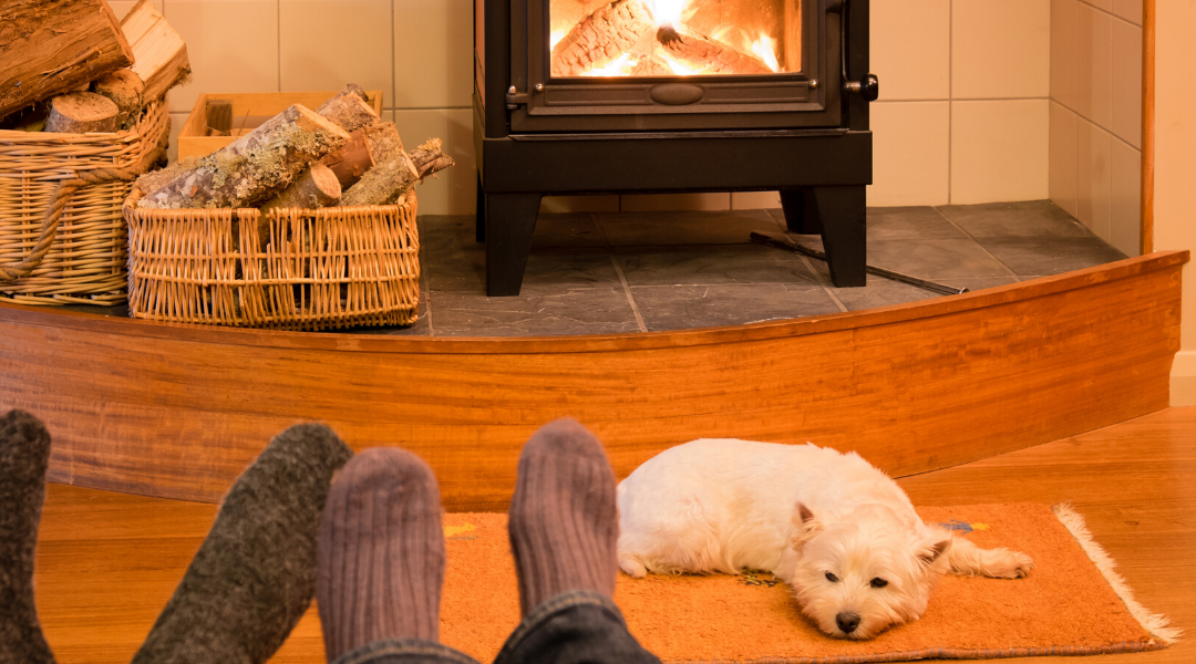 the dog fence system that can save lives and make more memories for humans and families