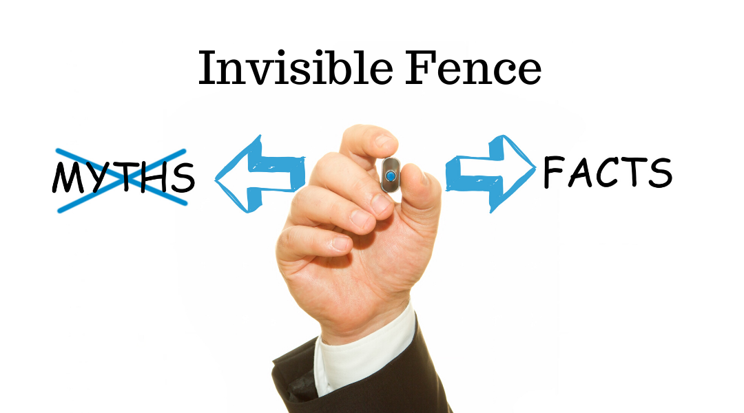 learn all about the facts for invisible fences with our do pro underground fencing team