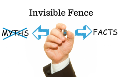 Top 5 Myths About Invisible Fences